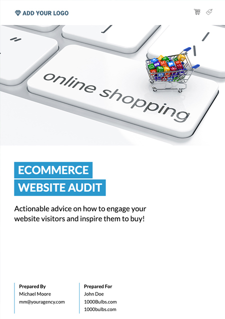 Ecommerce Website Audit