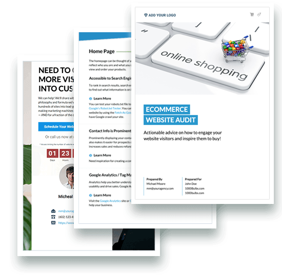 Ecommerce Website Audit